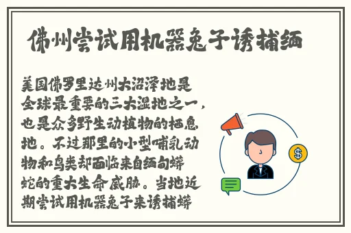 18款禁用APP网站进入口